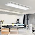 Brilagi - Dimbart LED-takarmatur för badrum FRAME SMART LED/50W/230V 120x30 cm 3000-6000K IP44 vit + fjärrkontroll
