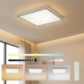 Brilagi - LED-dimbar taklampa för badrum FRAME SMART LED/50W/230V 60x60 cm 3000-6000K IP44 silverfärgad + fjärrkontroll
