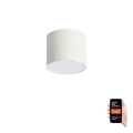 Immax NEO 07241L - LED dimbar taklampa RONDATE LED/18W/230V 11,5 cm Wi-Fi Tuya