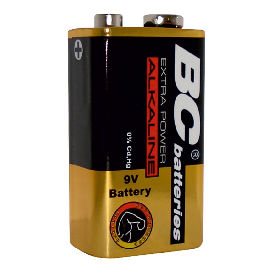 Alkaliska batterier EXTRA POWER 9V