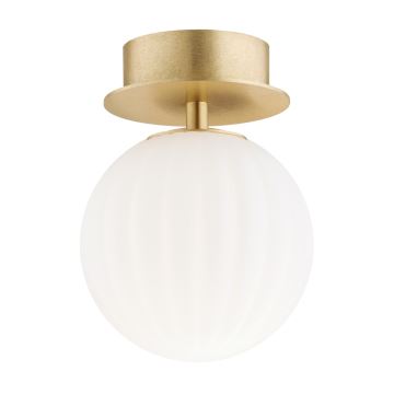 Argon 8504 - Vägglampa PALOMA 1xE14/7W/230V guld/vit