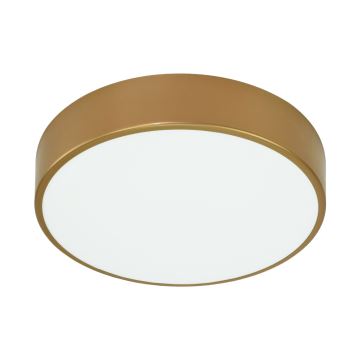 Brilagi - Badrum takbelysning CLARE 3xE27/24W/230V diameter 40 cm IP54 guld