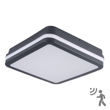 Brilagi - LED belysning med sensor för utomhusbruk BENE LED/18W/230V 22x22 cm antracit IP54