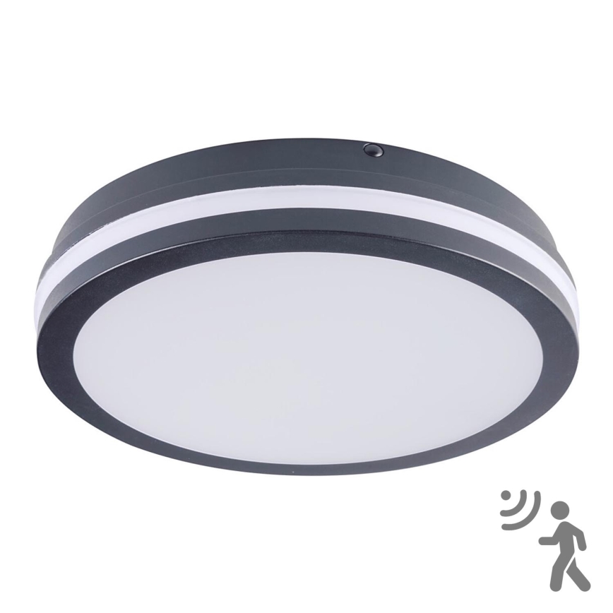 Brilagi - LED belysning med sensor för utomhusbruk BENE LED/24W/230V diameter 26 cm antracit IP54