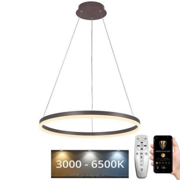 Brilagi - LED ljusreglerad ljuskrona på textilsladd CIRCLE LED/42W/230V 3000-6500K brun + fjärrkontroll