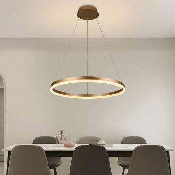 Brilagi - LED ljusreglerad ljuskrona på textilsladd CIRCLE LED/42W/230V 3000-6500K + fjärrkontroll