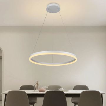 Brilagi - LED ljusreglerad ljuskrona på textilsladd CIRCLE LED/42W/230V 3000-6500K + fjärrkontroll