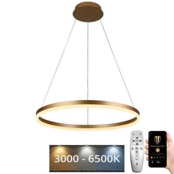 Brilagi - LED ljusreglerad ljuskrona på textilsladd CIRCLE LED/42W/230V 3000-6500K + fjärrkontroll