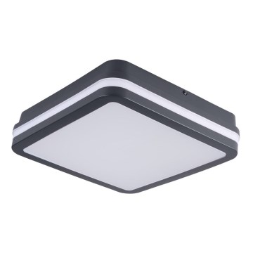 Brilagi - Utomhus LED belysning BENE LED/18W/230V 22x22 cm antracit IP54