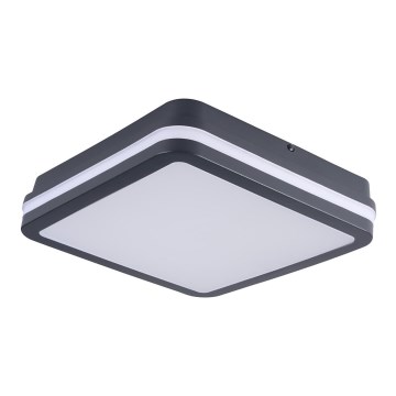 Brilagi - Utomhus LED belysning BENE LED/24W/230V 26x26 cm antracit IP54