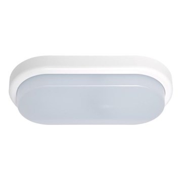 Ecolite BL18W-BI - LED Utomhus Väggbelysning OVAL LED/18W/230V IP54