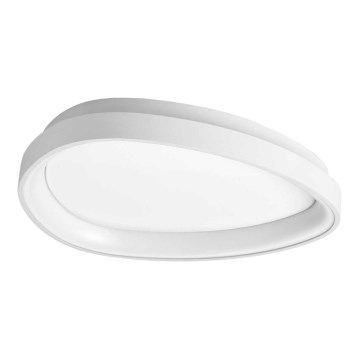 Ideal Lux - LED taklampa GEMINI LED/23W/230V diameter 42,5 cm vit