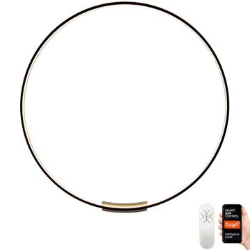 Immax NEO 07245-80 - LED ljusreglerad vägglampa FINO LED/50W/230V 2700-6500K 80 cm Tuya + fjärrkontroll