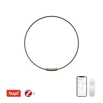 Immax NEO 07245-80 - LED ljusreglerad vägglampa FINO LED/50W/230V 2700-6500K 80 cm Tuya + fjärrkontroll