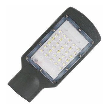LED gatulampa LED/30W/170-400V IP67