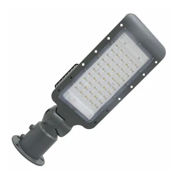 LED gatulampa LED/50W/170-400V IP65