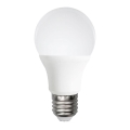 LED glödlampa A60 E27/12W/230V 6500K - Aigostar