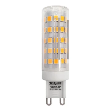 LED glödlampa G9/10W/230V 2700K