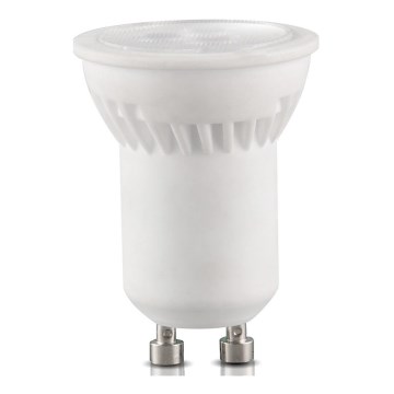 LED glödlampa  GU10-MR11/4W/230V 6000K