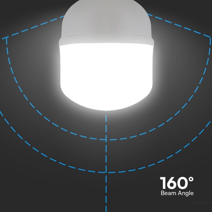 LED glödlampa T100 E27/30W/230V 6500K