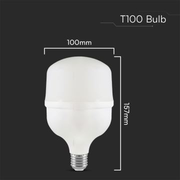 LED glödlampa T100 E27/30W/230V 6500K