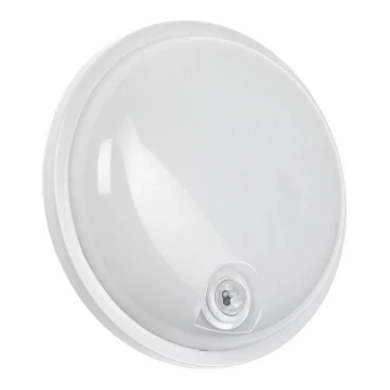 LED Heavy-duty belysning med PIR-sensor LED/20W/230V IP54