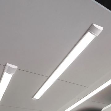 LED lampa för undersidan av köksskåp LED/50W/230V 4000K 150 cm vit