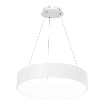 LED Ljuskrona med snöre OHIO LED/24W/230V