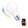 LED Ljusreglerad glödlampa A60 E27/5W/230V 2700-6500K Wi-Fi Tuya