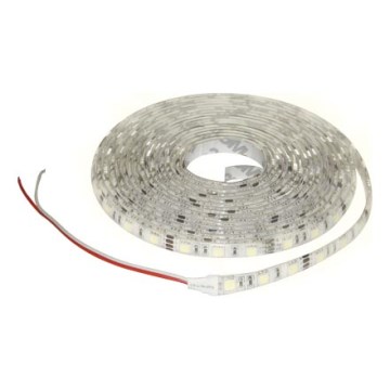 LED-slinga 5m varmvitt