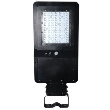 LED Solcellsgatulampa med sensor LED/40W/9,6V IP65 6000K + fjärrkontroll