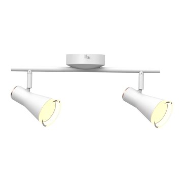 LED spotlight  BERG 2xLED/4,2W/230V vit 