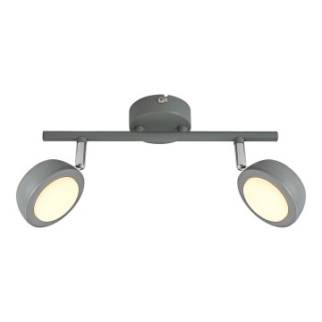 LED spotlight MILD 2xLED/6W/230V grå