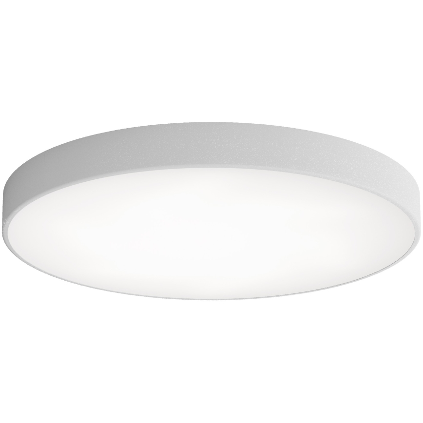 LED taklampa CLEO LED/96W/230V 3000K diameter 80 cm grå