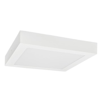 LED taklampa FENIX LED/18W/230V 3800K 22,5 cm snö vit