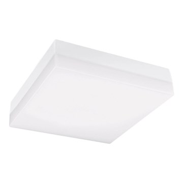 LED taklampa för badrum LED/12W/230V 3000/4000/6000K 22x22 cm IP44