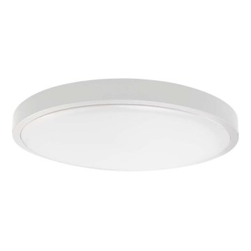 LED taklampa för badrum LED/24W/230V 6500K IP44 vit