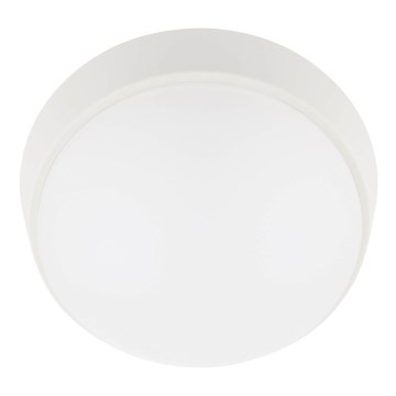 LED taklampa för utomhusbruk LED/12W/230V 3000/4000/6500K IP65 vit