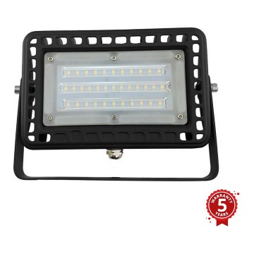 LED Utomhus Strålkastare PROFI LED/30W/180-305V IP65