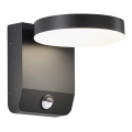 LED Utomhus wall flexible belysning med sensor LED/17W/230V IP65 3000K svart