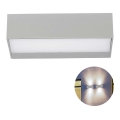 LED vägglampa för utomhusbruk LED/9W/230V 6400K IP65