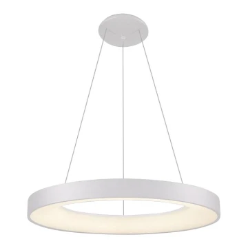 LED2 - LED ljuskrona med upphängningsrem BELLA LED/50W/230V 3000K diameter 60 cm vit