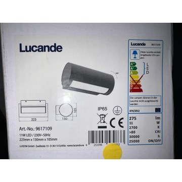 Lucande - LED vägglampa för utomhusbruk BOHDAN LED/11W/230V IP65