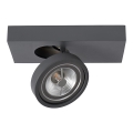 Lucide 09920/10/36 - LED Dimbar spotlight NENAD AR111 1xG53/10W/230V