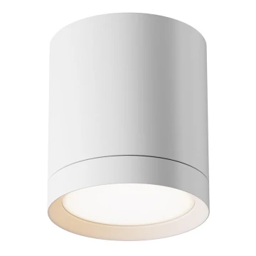 Maytoni C086CM-GX53-MRD-W - Spotlight HOOP 1xGX53/15W/230V vit