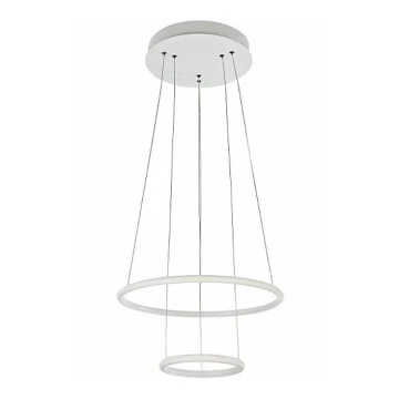 Maytoni MOD807-PL-02-36-W - LED Ljuskrona med snöre NOLA LED/36W/230V