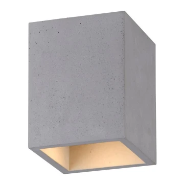 Paul Neuhaus 6161-22 - Spotlight ETON 1xGU10/10W/230V betong