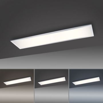 Paul Neuhaus 8112-17 - LED Dimbar Takbelysning FLAG LED/35W/230V