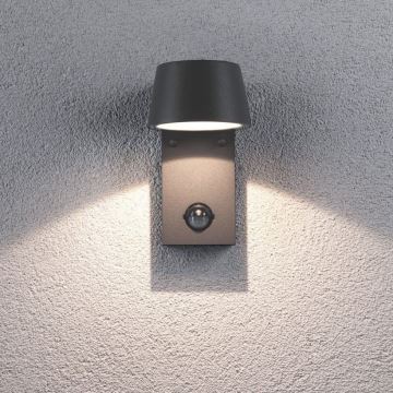 Paulmann 94453 - LED/6W IP44 Utomhus Väggbelysning med sensor CAPEA 230V