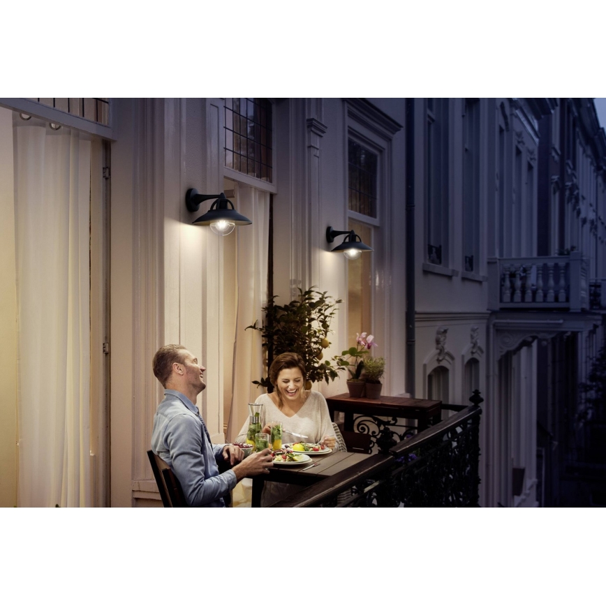 Philips 17381/30/PN - Utomhus Väggbelysning COMORANT 1xE27/42W/230V IP44